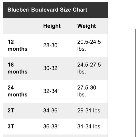 NWT Blueberi Boulevard 2-pc. Floral Applique Fit and Flare Dress & Headband Set - Picture 8 of 11